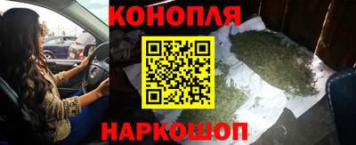 гашик Нягань