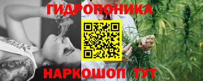амф Обнинск
