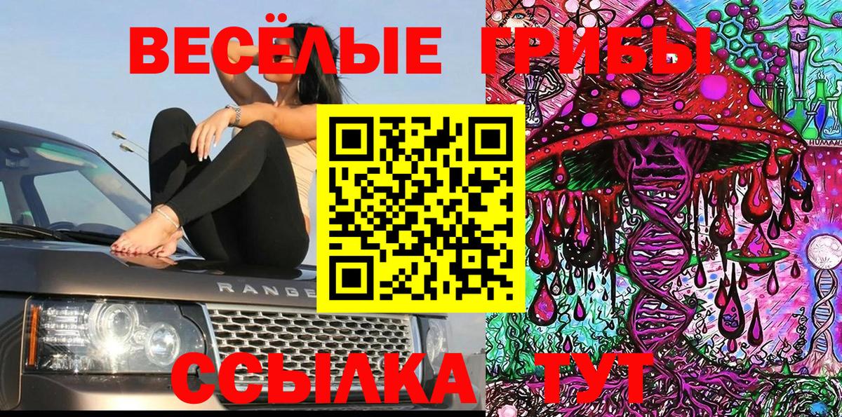 Галлюциногенные грибы мицелий Советск