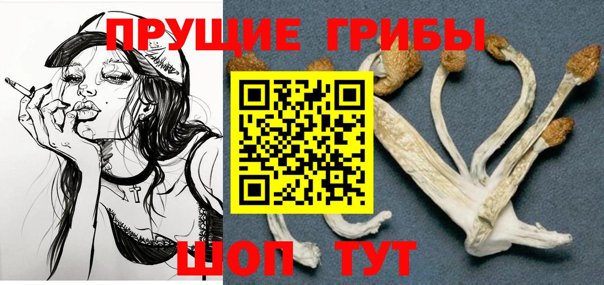 Меф   Советск  Вход с VPN  ГАШ  Марихуана 