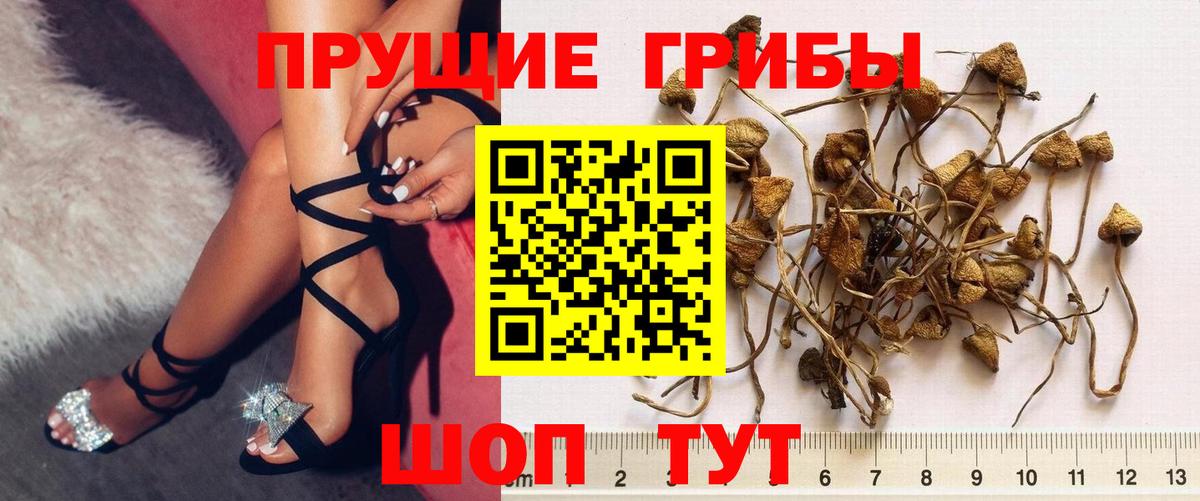 A-PVP Советск